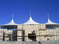 LSAA09DA_Cat2_24558_04.jpg
